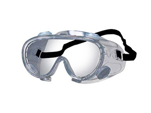 PPE Goggles